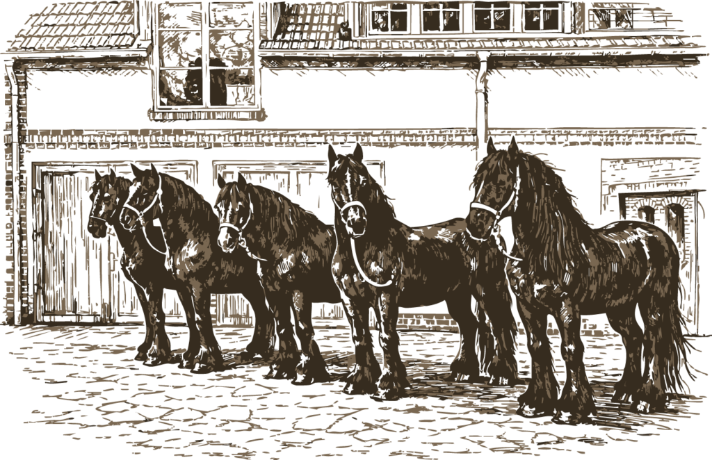 Pferde des Alten Dorfkrug Staffeldes aufgestellt in einer Reihe, Illustration Kutschfahrten